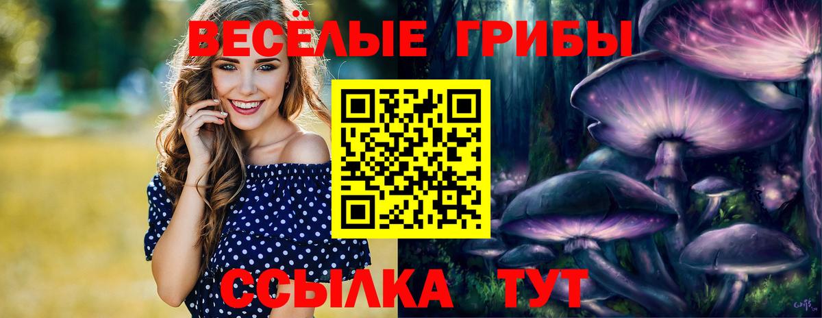 Галлюциногенные грибы мицелий Мценск